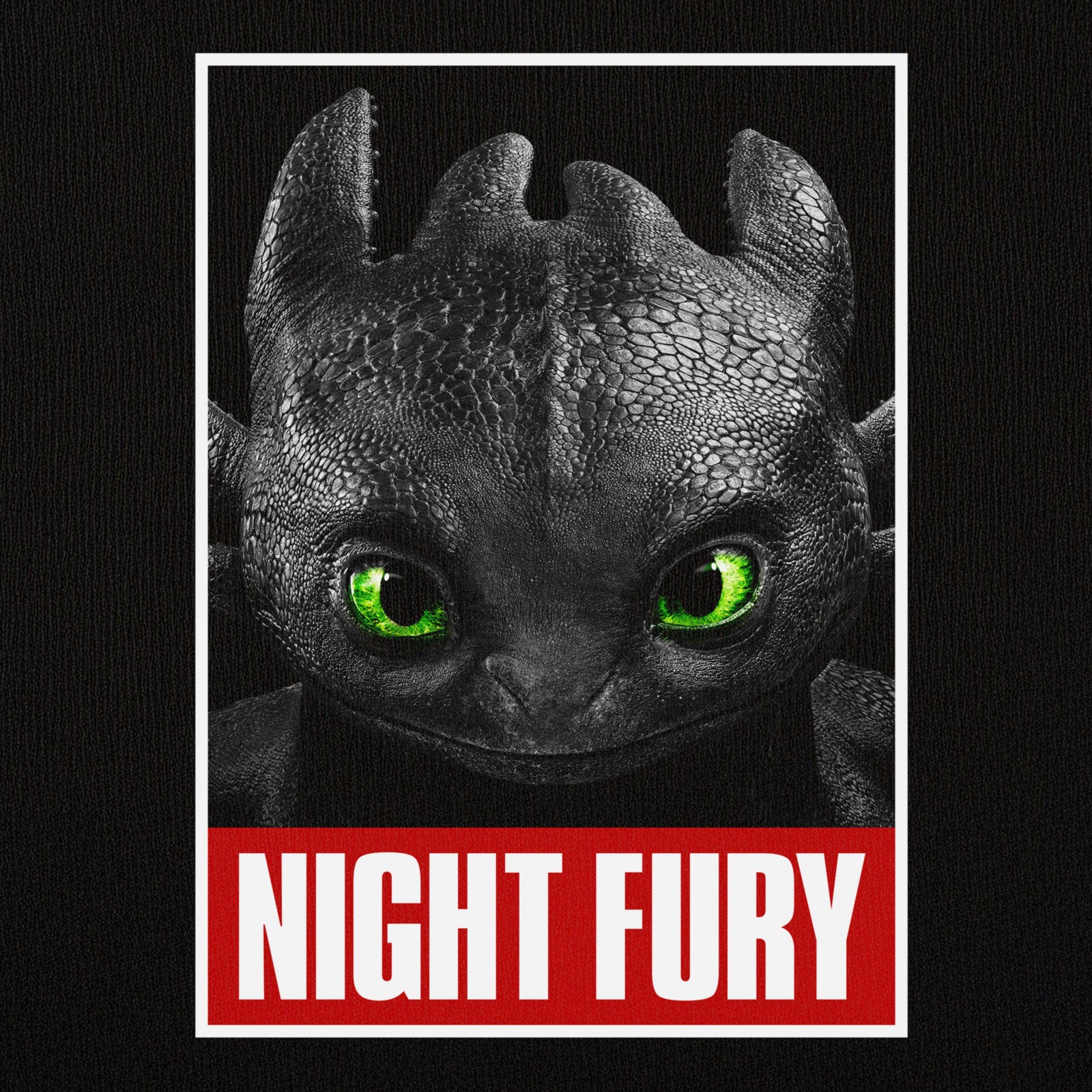 Product image How to Train Your Dragon - Night Fury Poster T-Shirt Black