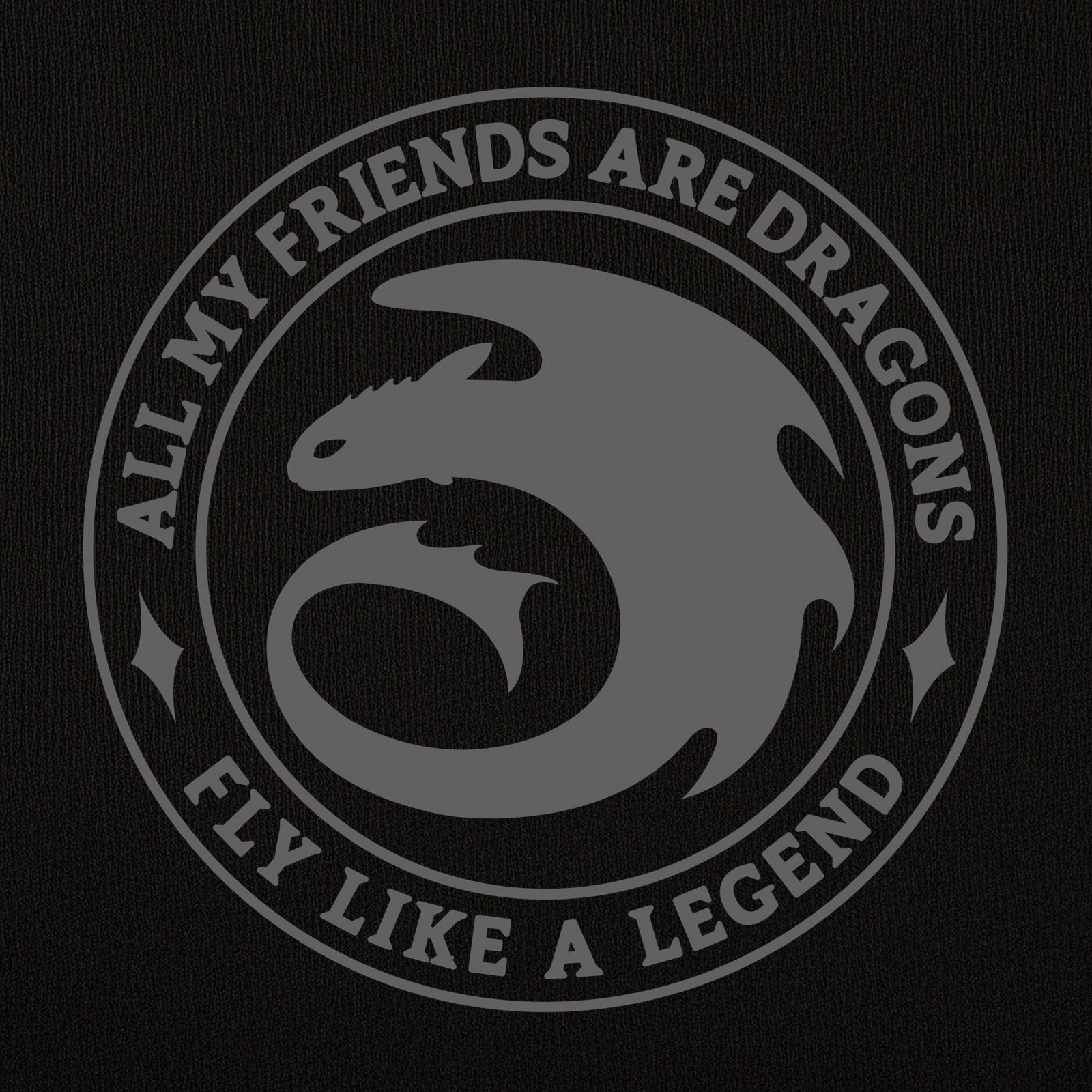 Image produit Dragons - Sweat à capuche Night Fury Legend noir