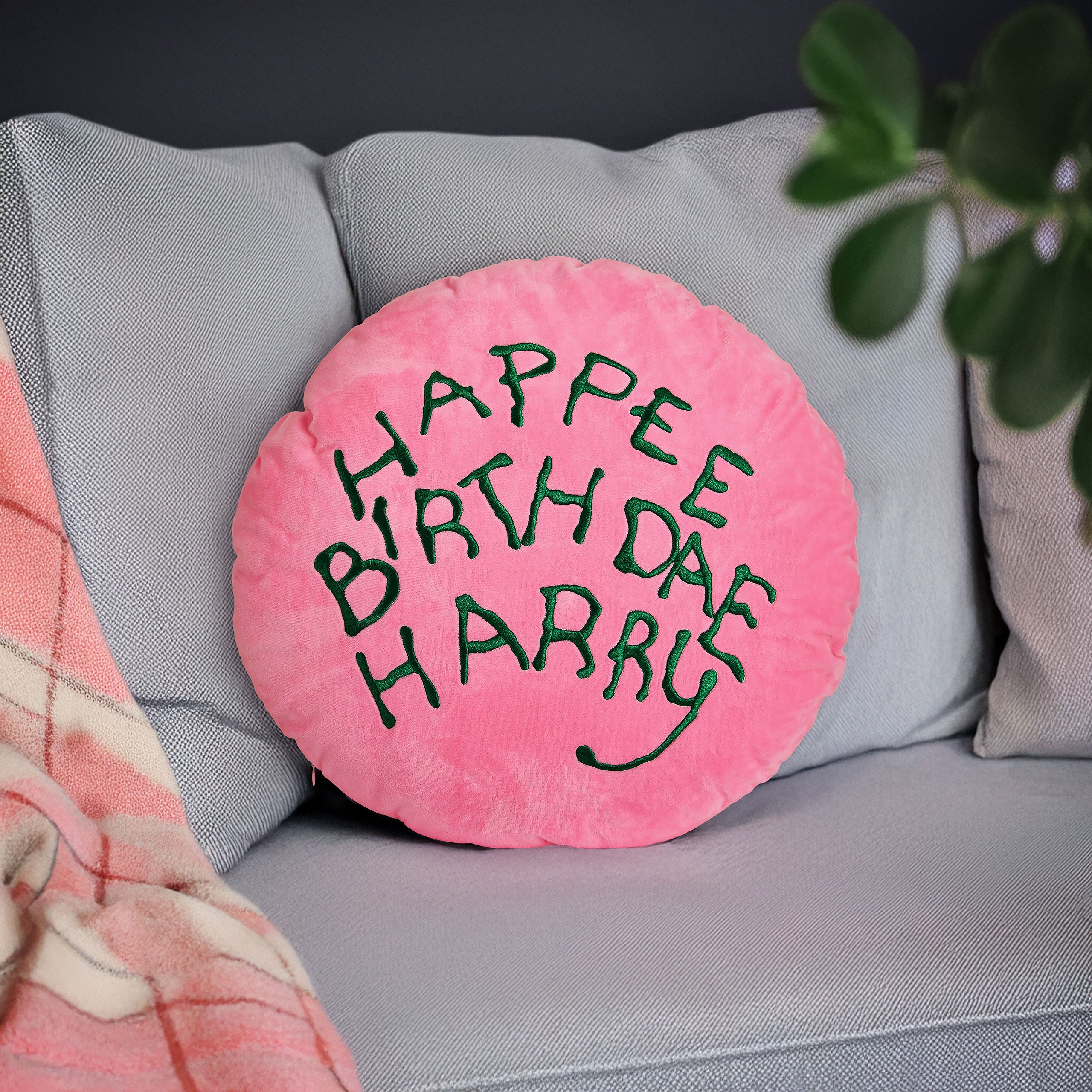Image produit Harry Potter - Coussin Happee Birthdae Harry