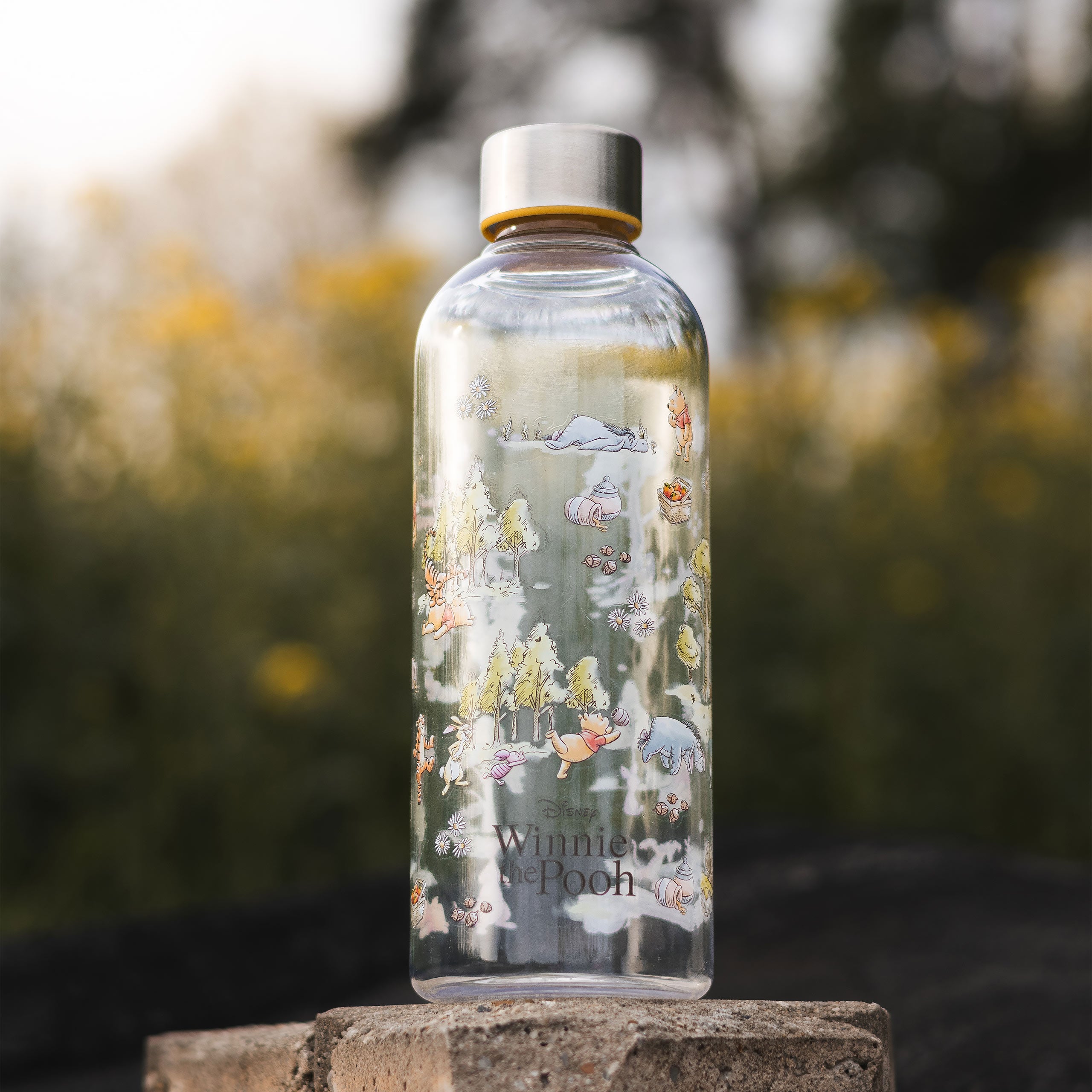 Image produit Winnie l’Ourson - Gourde Friends