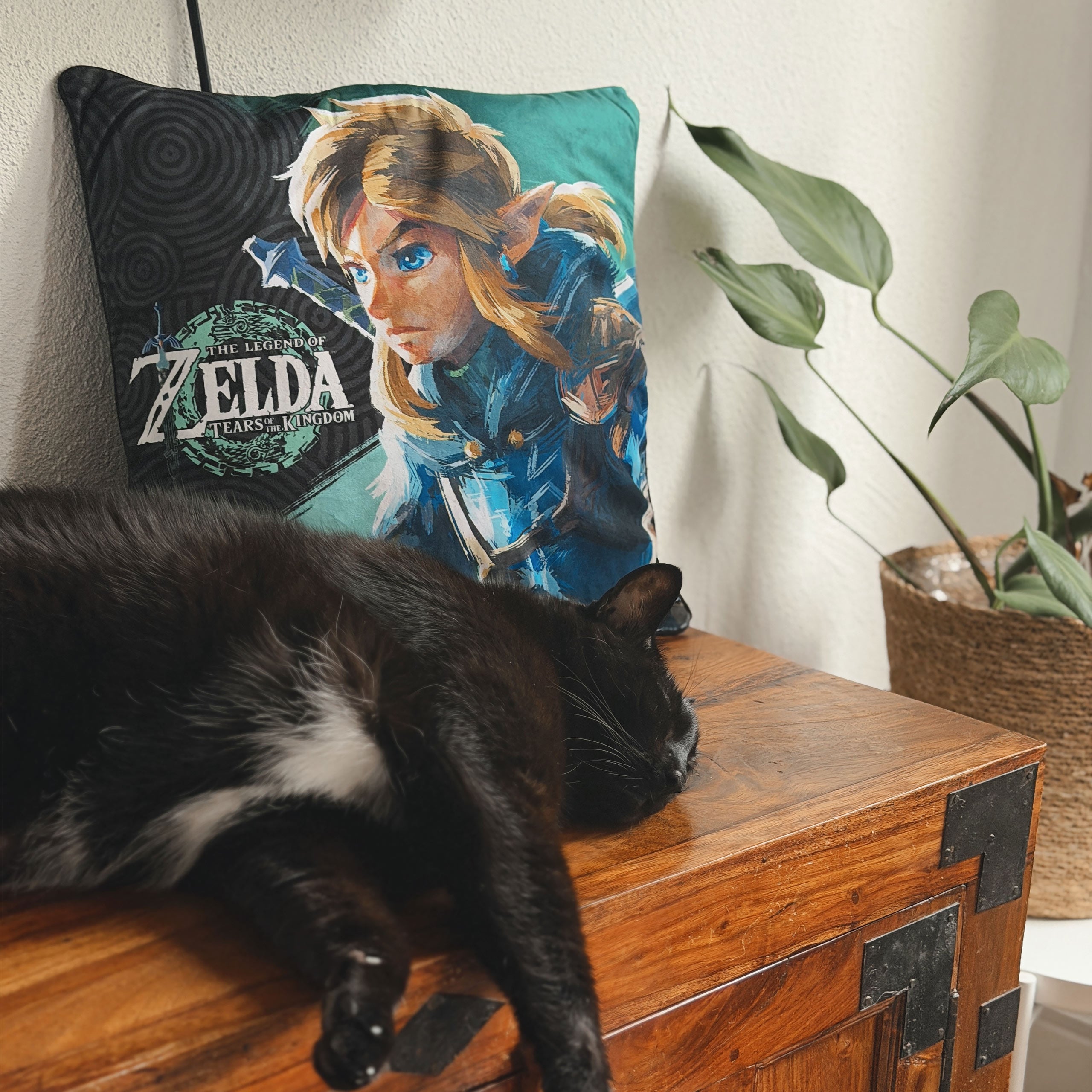 Image produit Coussin Link - Zelda
