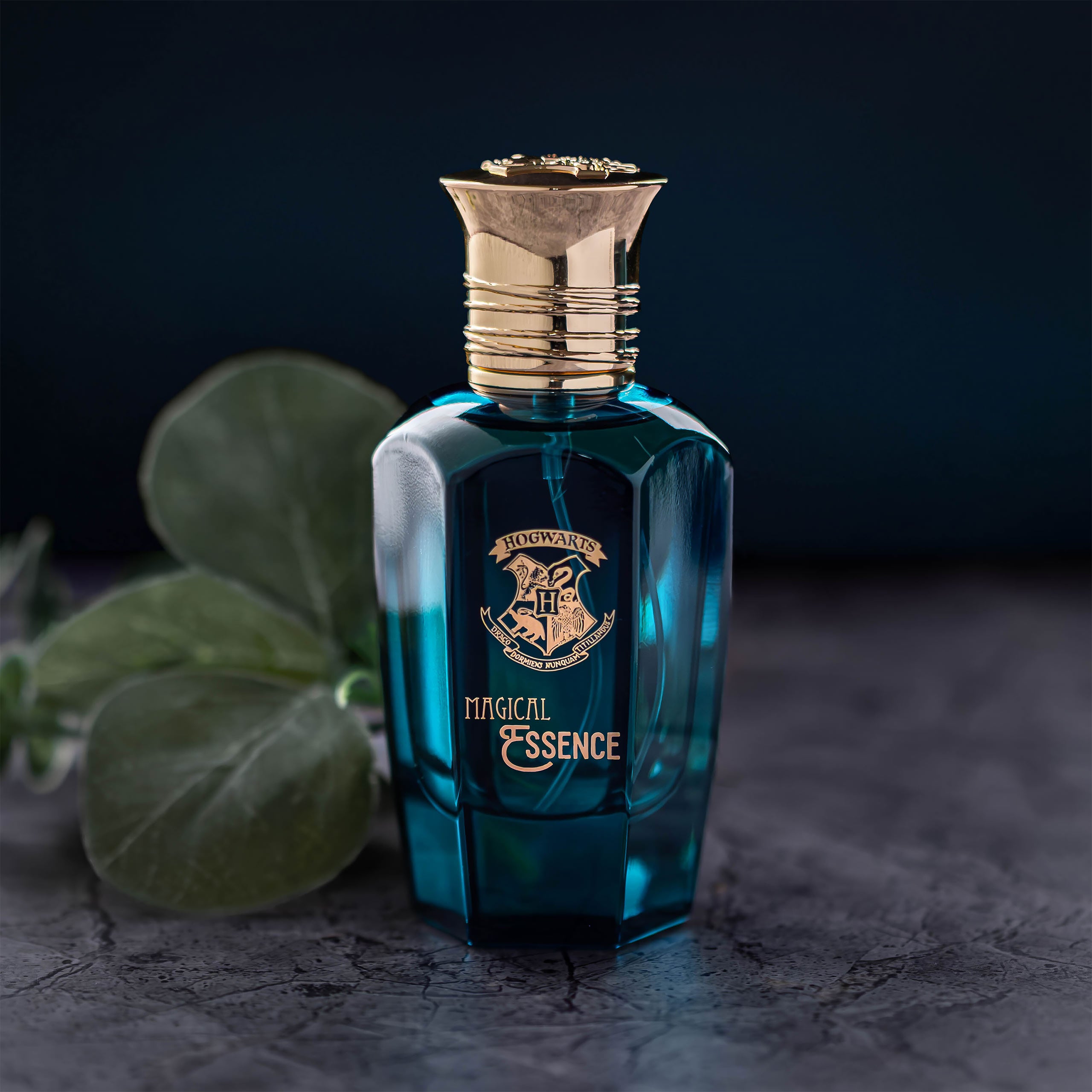 Image produit Harry Potter - Magical Essence Legendary Eau de Parfum