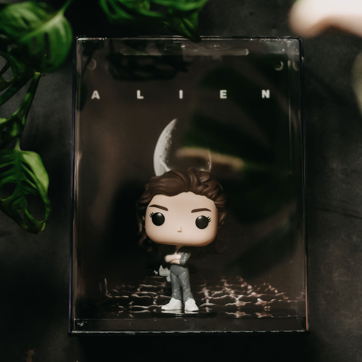 Image produit Alien - Figurine Diorama Funko Pop Ripley