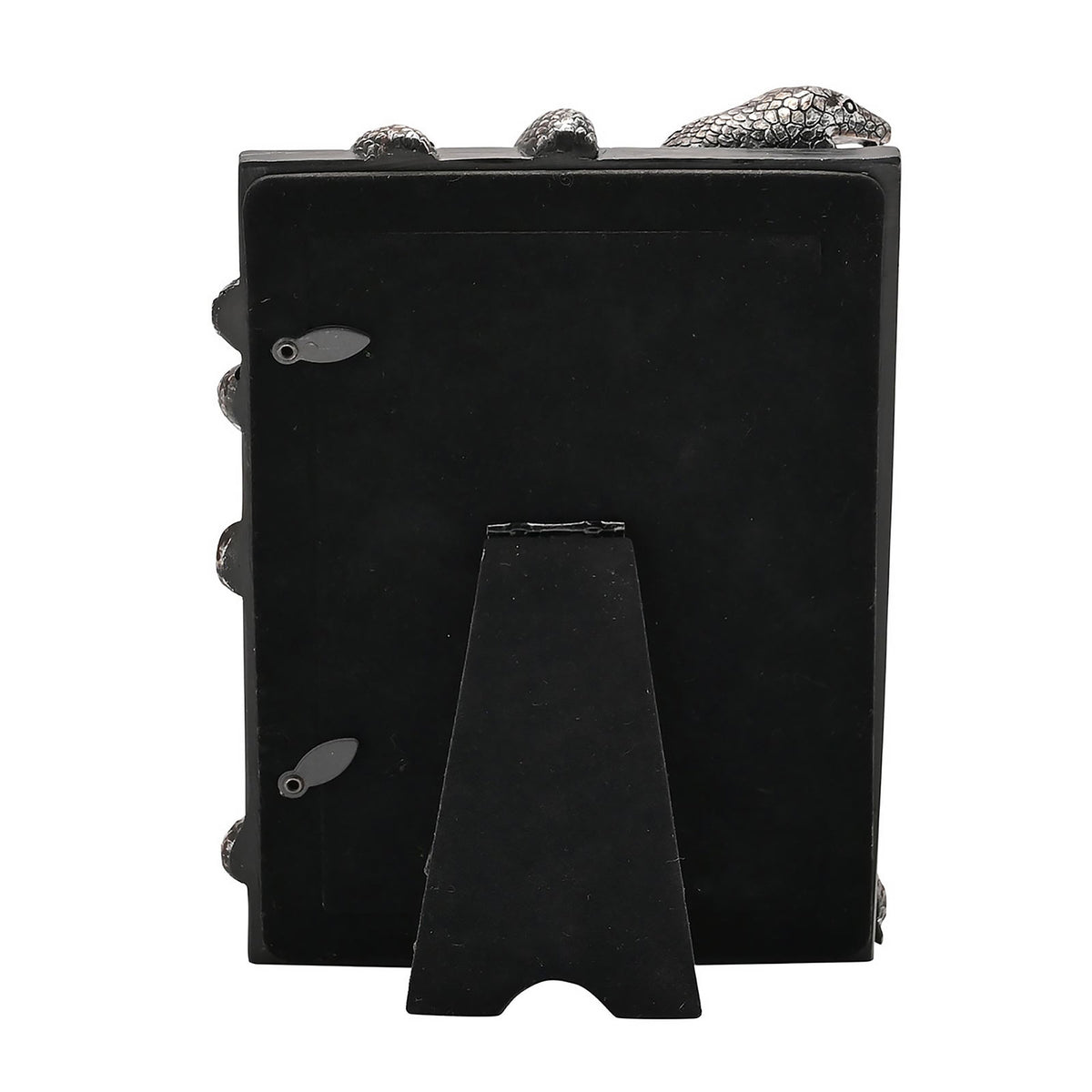 Product image Harry Potter - Nagini Picture Frame