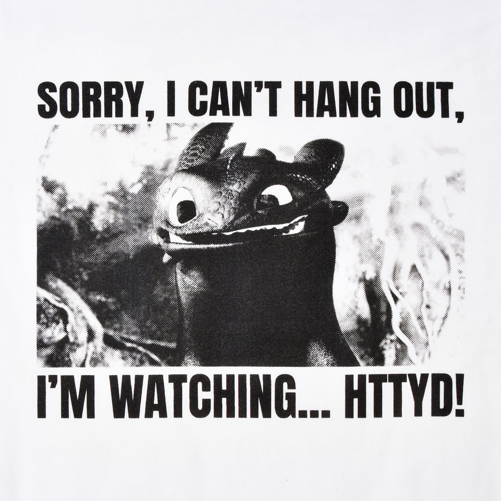 Image produit T-shirt Krokmou Watching HTTYD - Dragons
