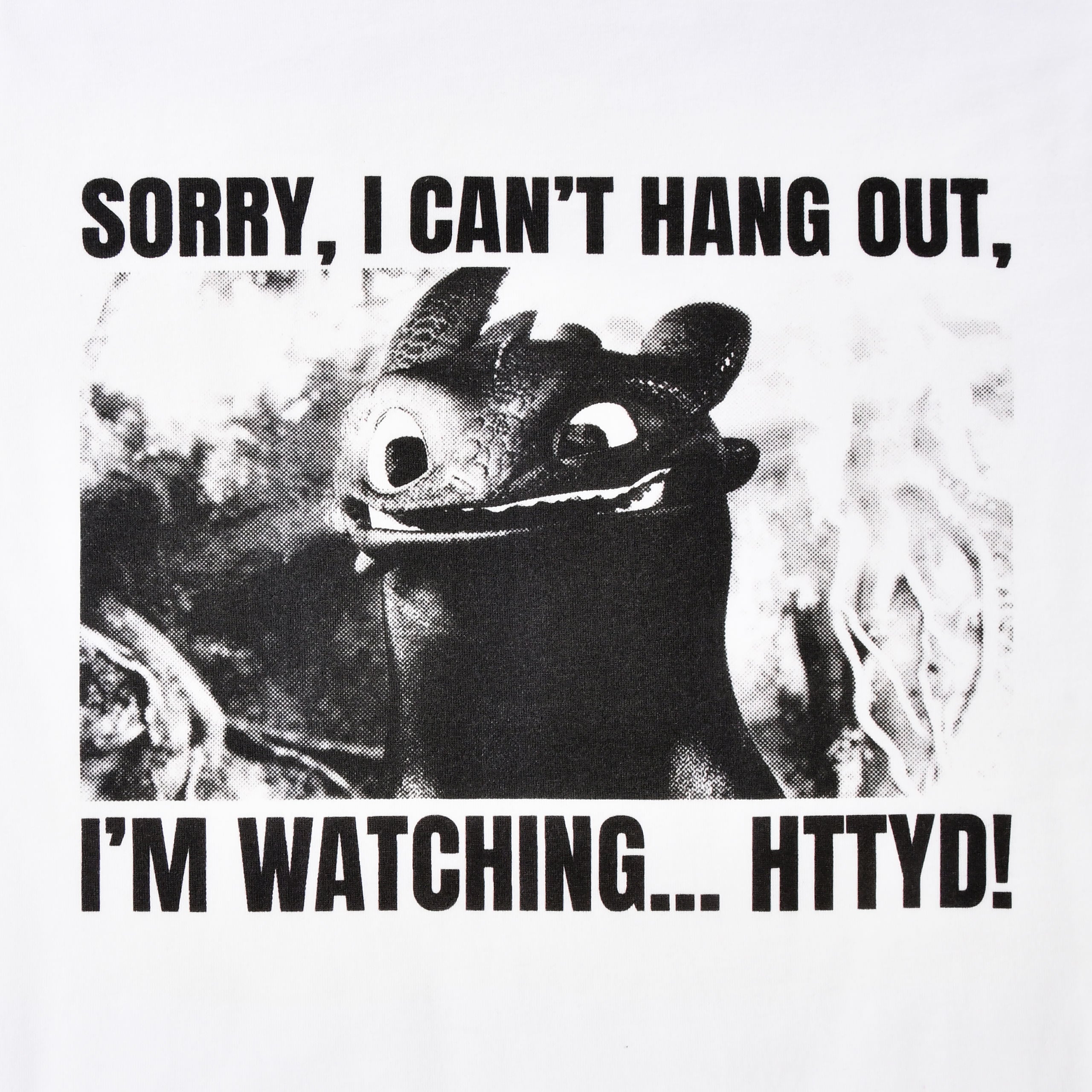 Image produit T-shirt Krokmou Watching HTTYD - Dragons