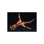 Image produit Arcanadea - Figurine Model Kit XenoAlma Blaze Ophis