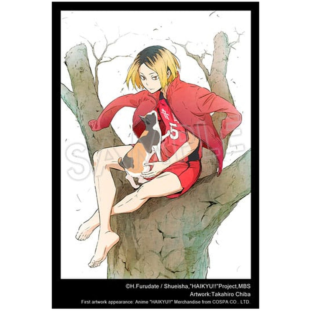 Image produit Haikyu!! - Figurine Kenma Kozume ARTFXJ