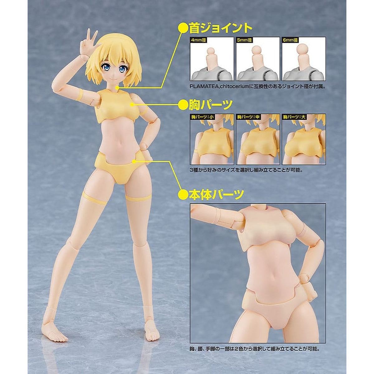 Image produit PLAMATEA Maquette à Monter - Muse Body : Ichika Type B