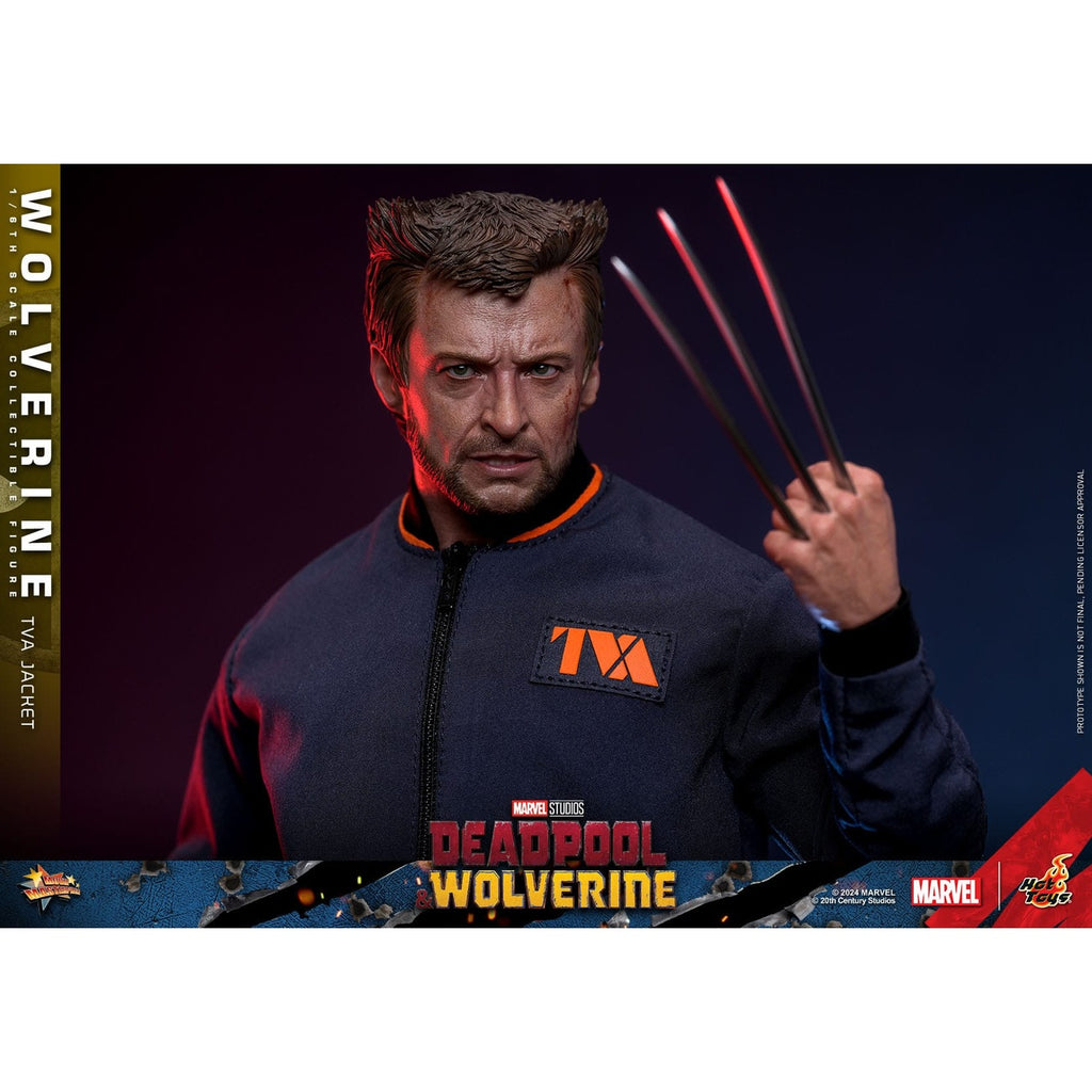 Image produit Figurine articulée Wolverine Masterpiece 1:6 Version Veste TVA – Deadpool & Wolverine