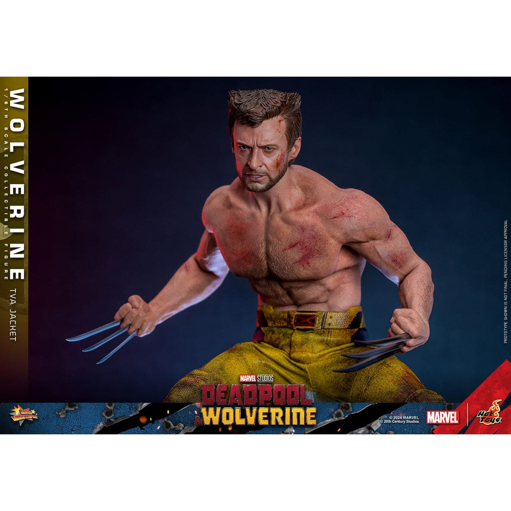 Image produit Figurine articulée Wolverine Masterpiece 1:6 Version Veste TVA – Deadpool & Wolverine