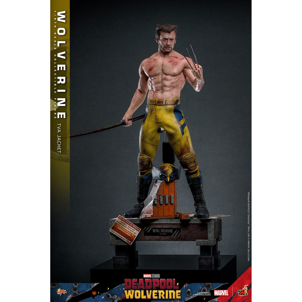Image produit Figurine articulée Wolverine Masterpiece 1:6 Version Veste TVA – Deadpool & Wolverine