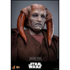 Image produit Star Wars Épisode III : La Revanche des Sith - Saesee Tiin figurine d’exception 1:6