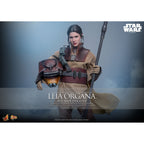 Image produit Star Wars Épisode VI – Figurine d’action Leia Organa Masterpiece 1:6