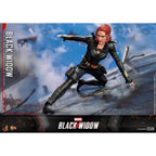 Image produit Figurine articulée Black Widow Masterpiece 1:6 Édition Spéciale - Black Widow