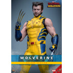 Image produit Figurine articulée Wolverine Masterpiece 1:6 Version Deluxe – Deadpool & Wolverine