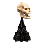 Image produit Le Seigneur des Anneaux - Mini statuette Crâne de Lurtz