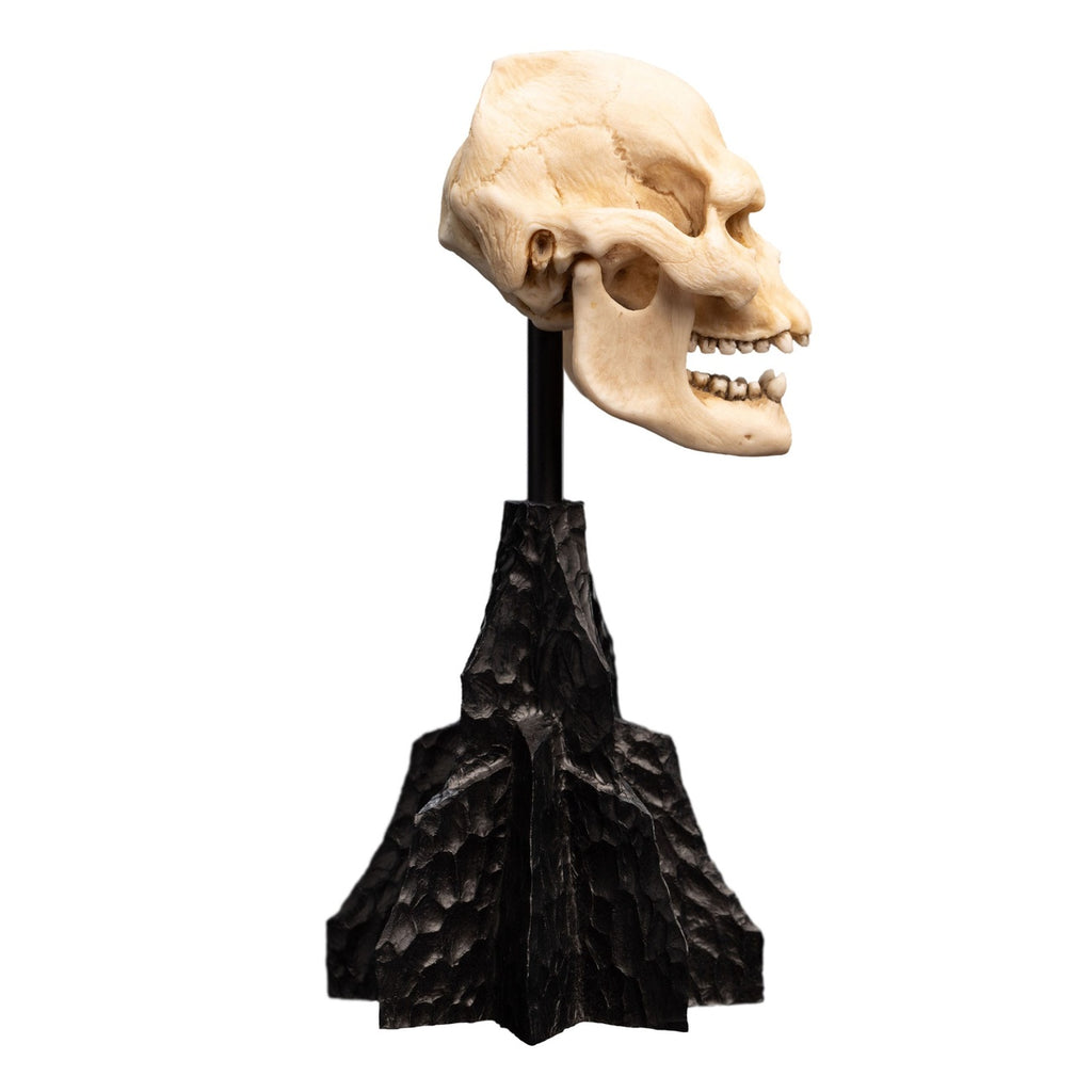 Image produit Le Seigneur des Anneaux - Mini statuette Crâne de Lurtz