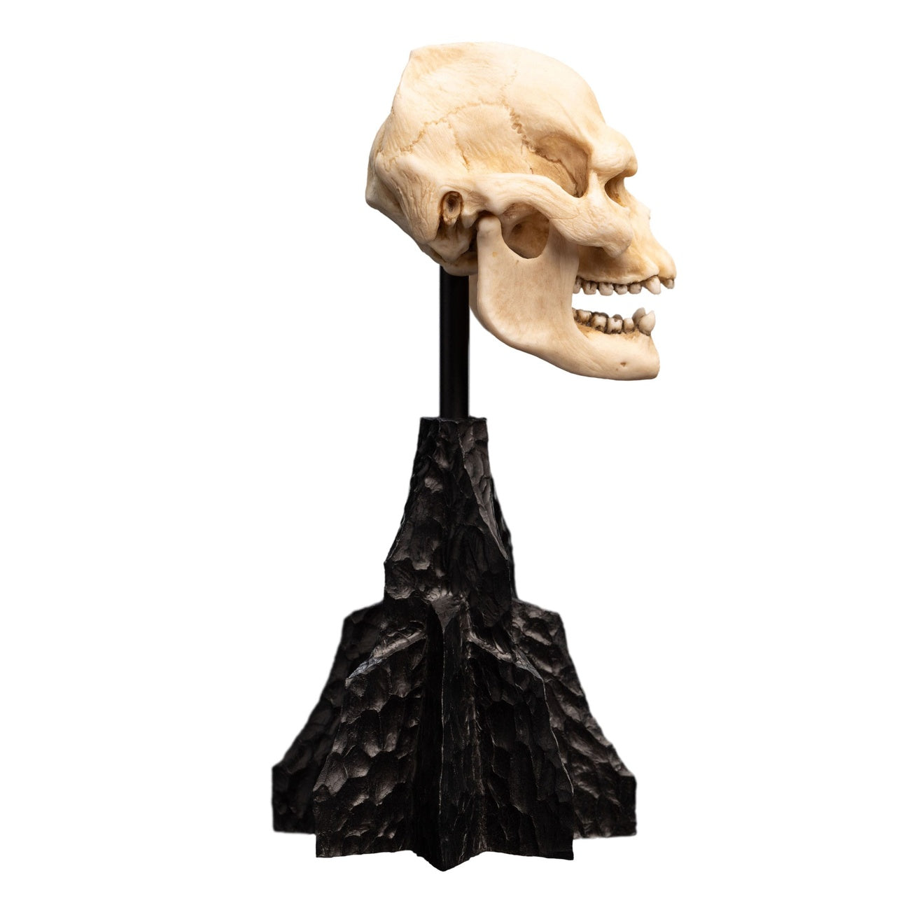 Image produit Le Seigneur des Anneaux - Mini statuette Crâne de Lurtz