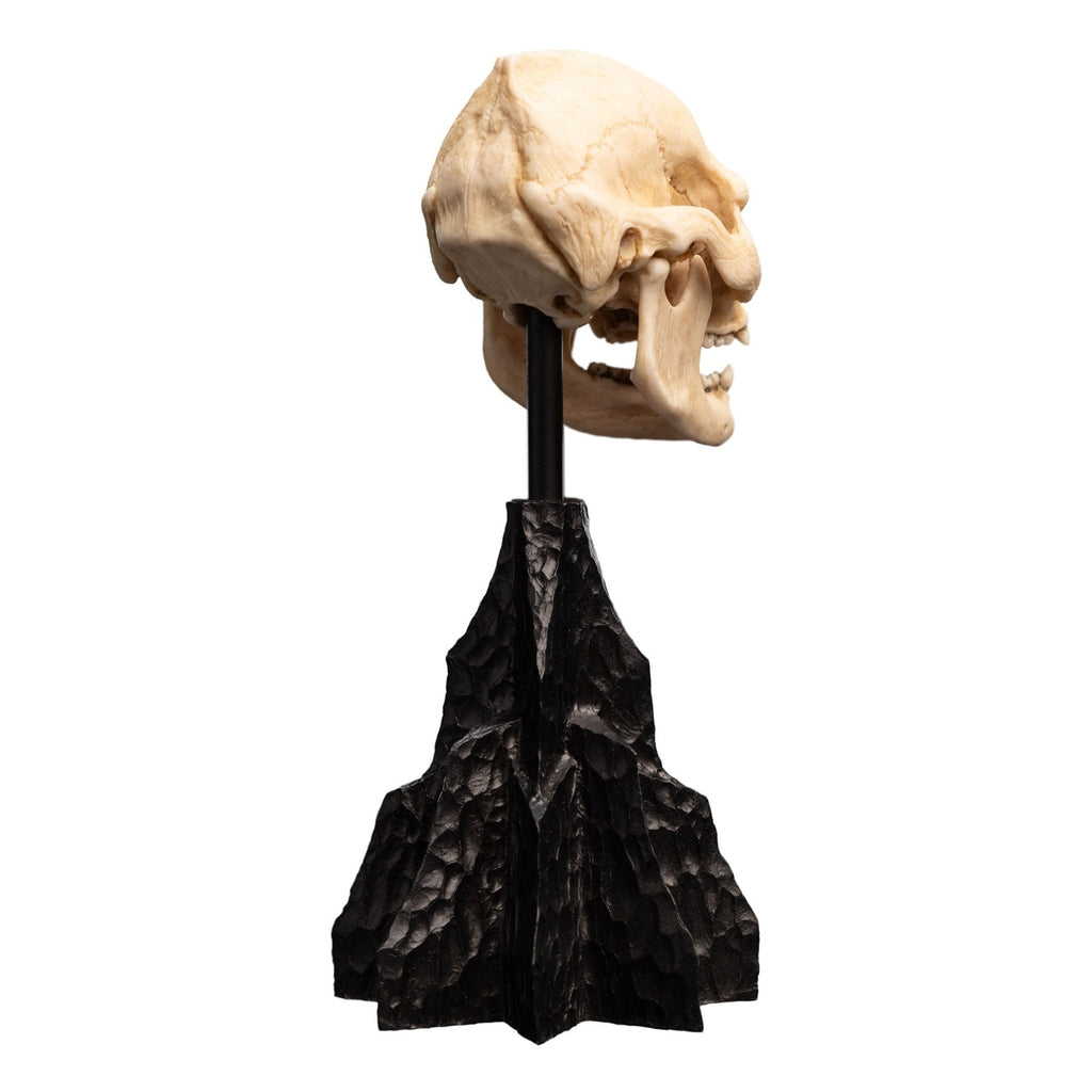 Image produit Le Seigneur des Anneaux - Mini statuette Crâne de Lurtz