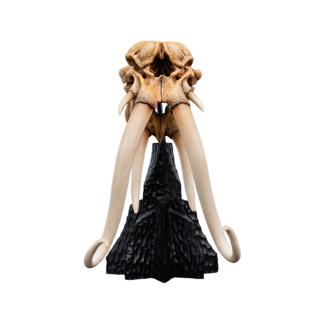 Image produit Le Seigneur des Anneaux - Crâne de Mumak Mini Statue