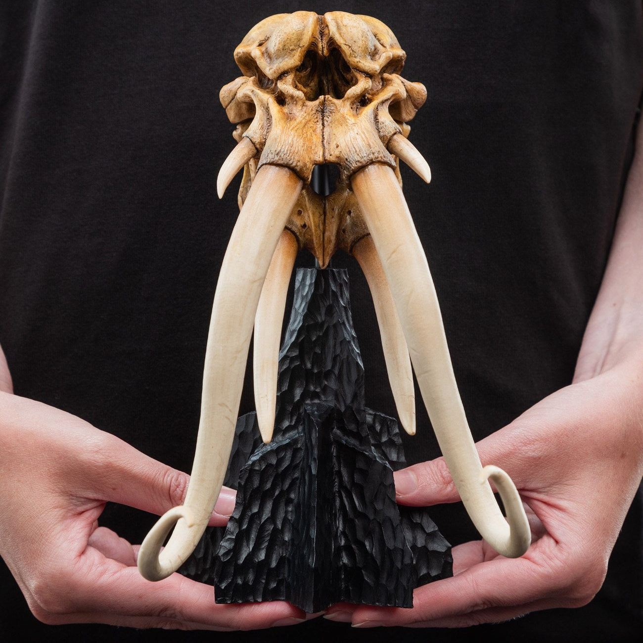 Image produit Le Seigneur des Anneaux - Crâne de Mumak Mini Statue