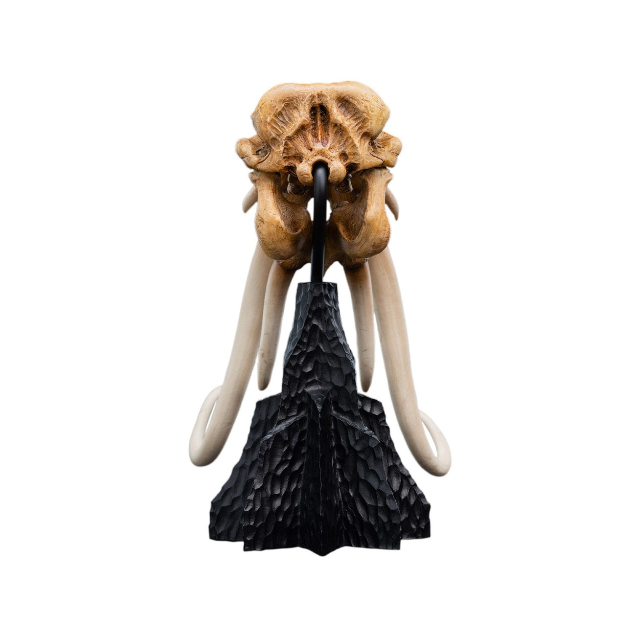 Product image The Lord of the Rings - Skull of a Mumak Mini Statue