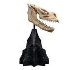Product image The Lord of the Rings - Skull of a Fell Beast Mini Statue