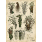 Image produit Le Seigneur des Anneaux – Affiche artistique Fangorn