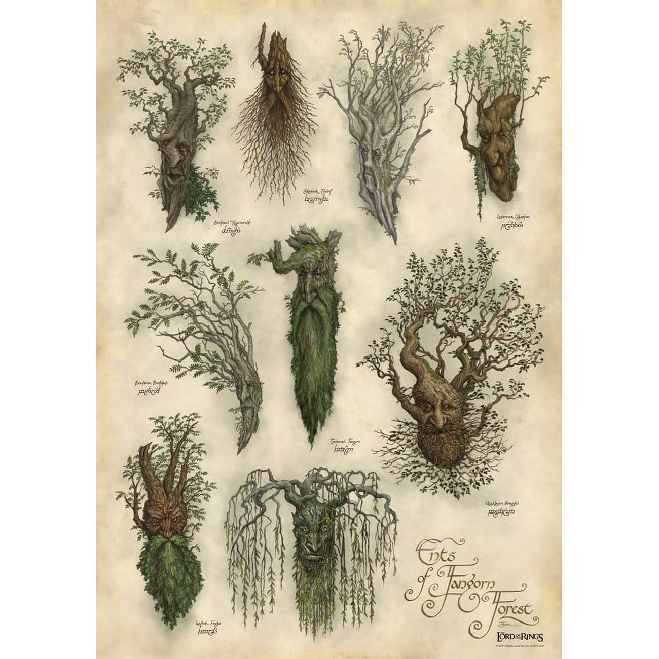 Image produit Le Seigneur des Anneaux – Affiche artistique Fangorn