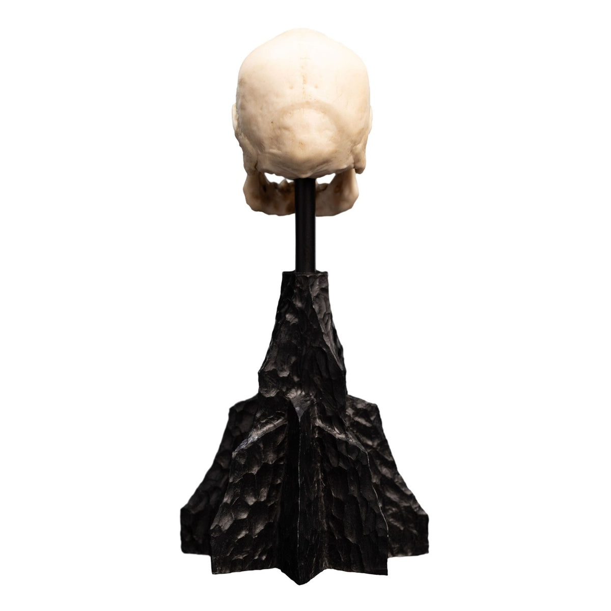 Product image The Lord of the Rings - Skull of a Mordor Orc Mini Statue