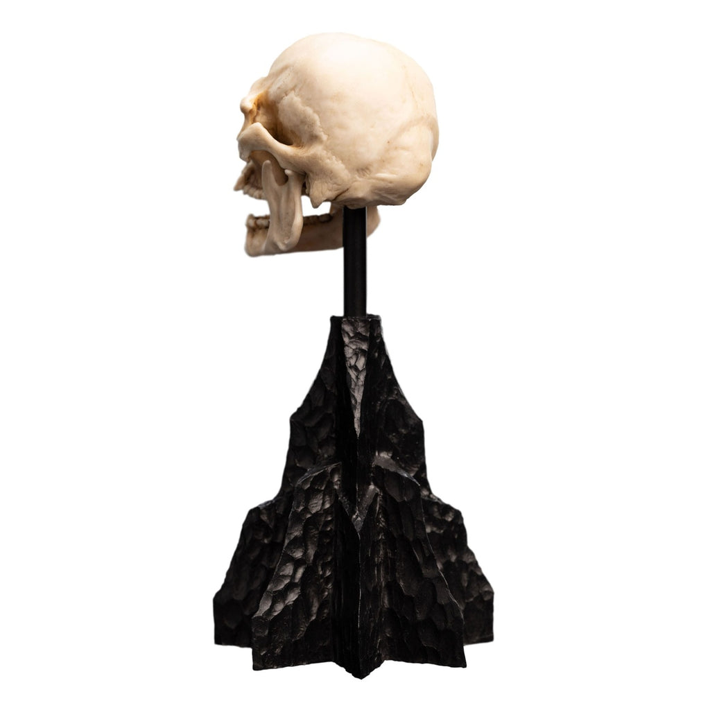 Product image The Lord of the Rings - Skull of a Mordor Orc Mini Statue