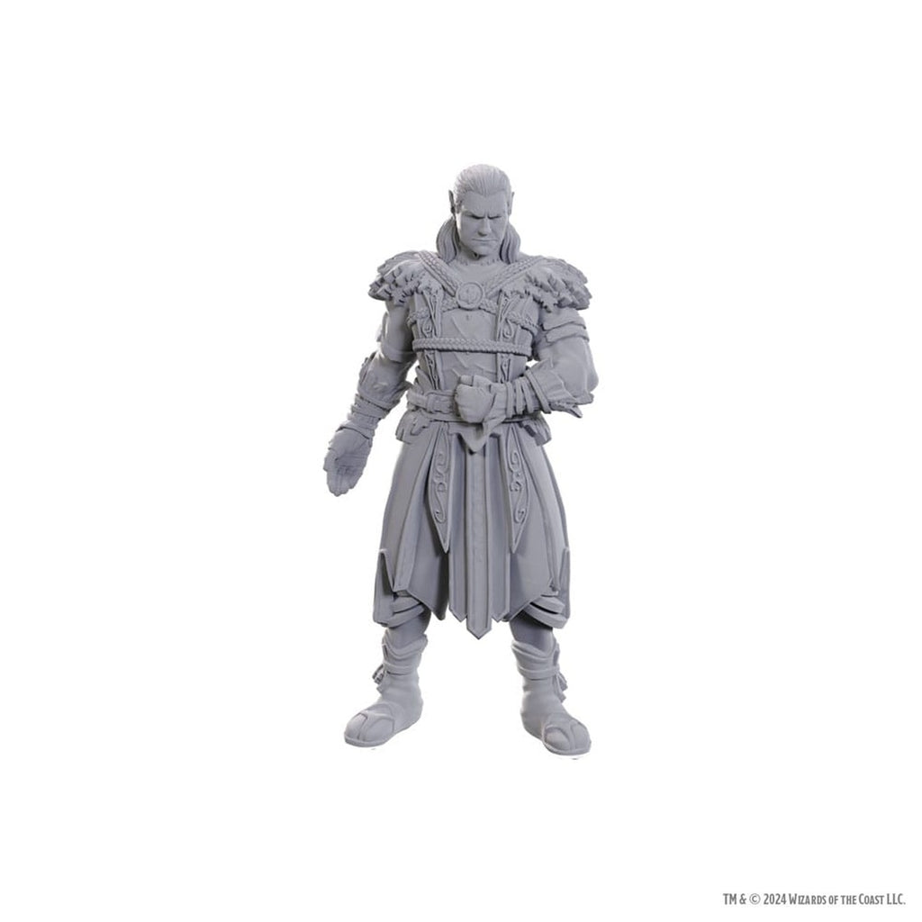 Image produit D&D Nolzur's Marvelous Miniatures Figurines non peintes Jaheira & Halsin