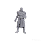 Image produit D&D Nolzur's Marvelous Miniatures Figurines non peintes Jaheira & Halsin