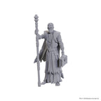 Image produit D&D Nolzur's Marvelous Miniatures Figurine non peinte Volo & Withers