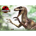 Image produit Jurassic Park Prime Collectibles Statue 1/10 Velociraptor Jump 21 cm