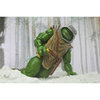 Image produit Teenage Mutant Ninja Turtles figurine articulée Hunter Leo 18 cm