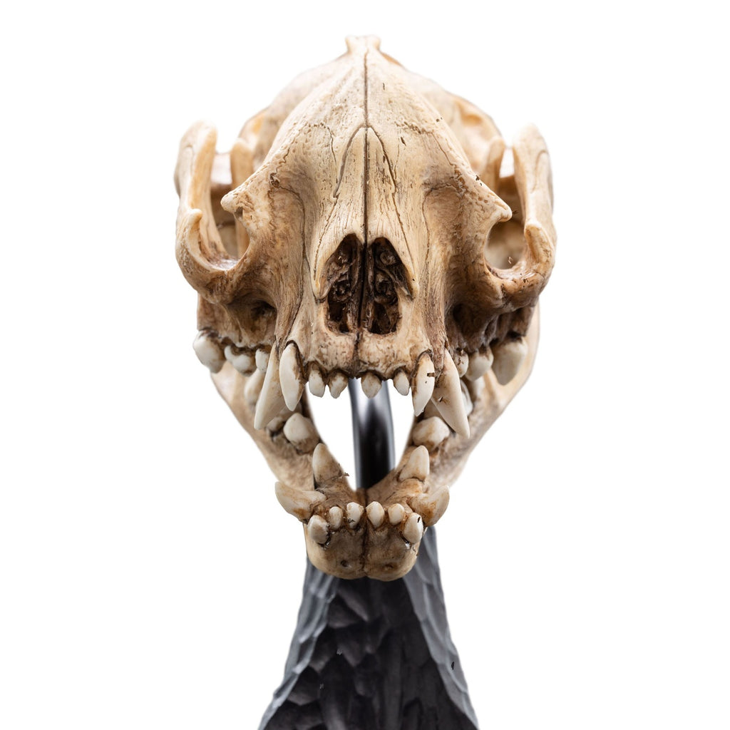 Image produit Le Seigneur des Anneaux Mini statuette Crâne de Warg 20 cm
