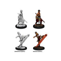 Image produit D&D Nolzur's Marvelous Miniatures Figurines non peintes Male Half-Elf Monk Carton principal (6)