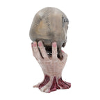 Image produit Metallica Statue Sad But True Skull 22 cm