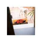 Image produit Disney Le Roi Lion Paillasson Rule The Jungle 40 x 60 cm