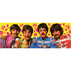 Image produit The Beatles Jeu de cartes Green Version