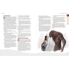 Image produit Werewolf: The Apocalypse 5e livre JDR Scent of
