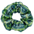 Image produit Harry Potter - Élastique à cheveux Serpentard
